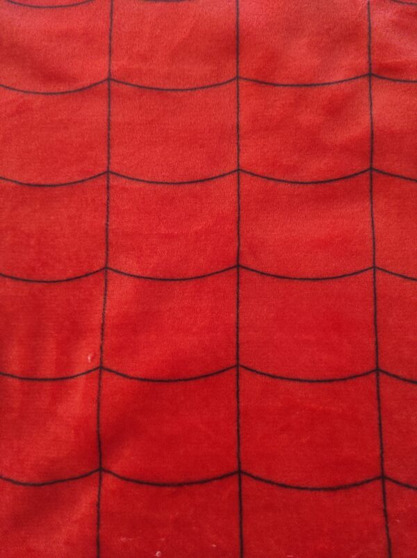 SPIDER