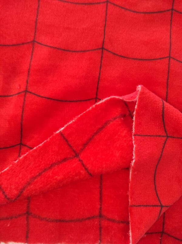 SPIDER - Imagen 2